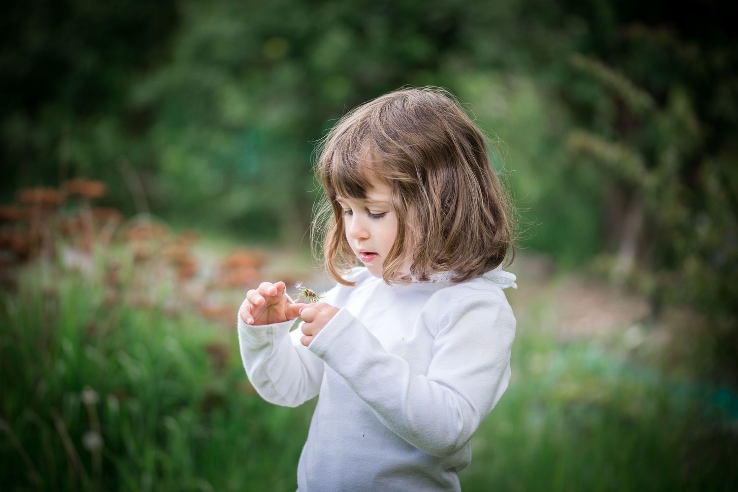 child blowing a dandelion