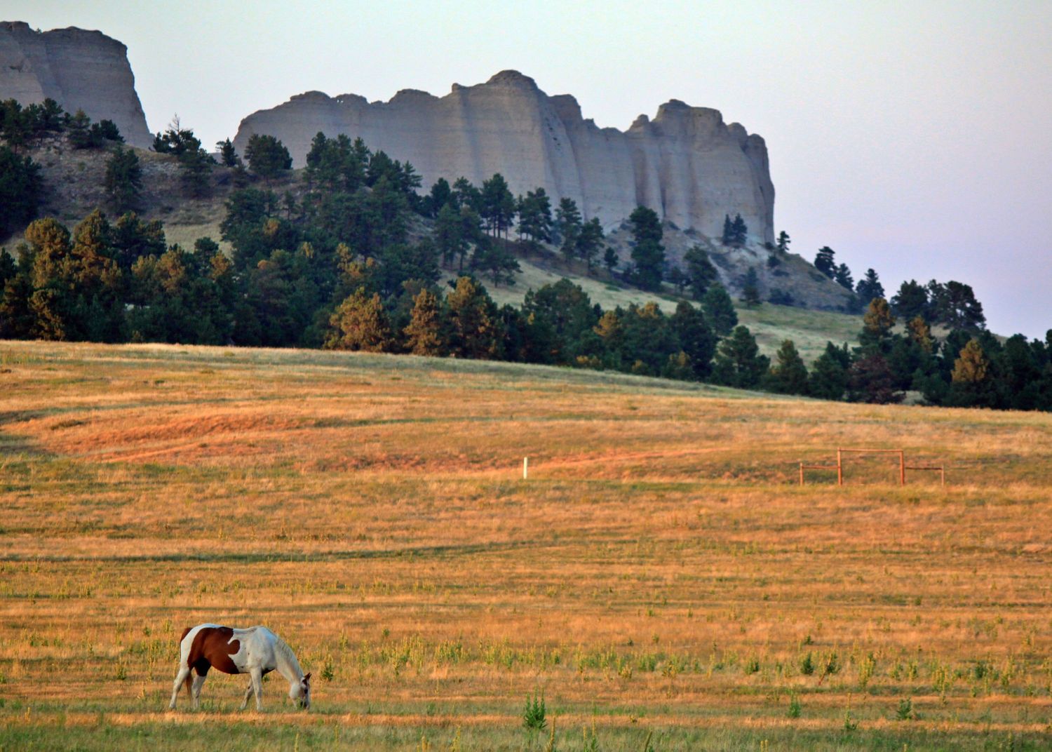 Sunrise Horse Feeding at Ft Robinson, NE