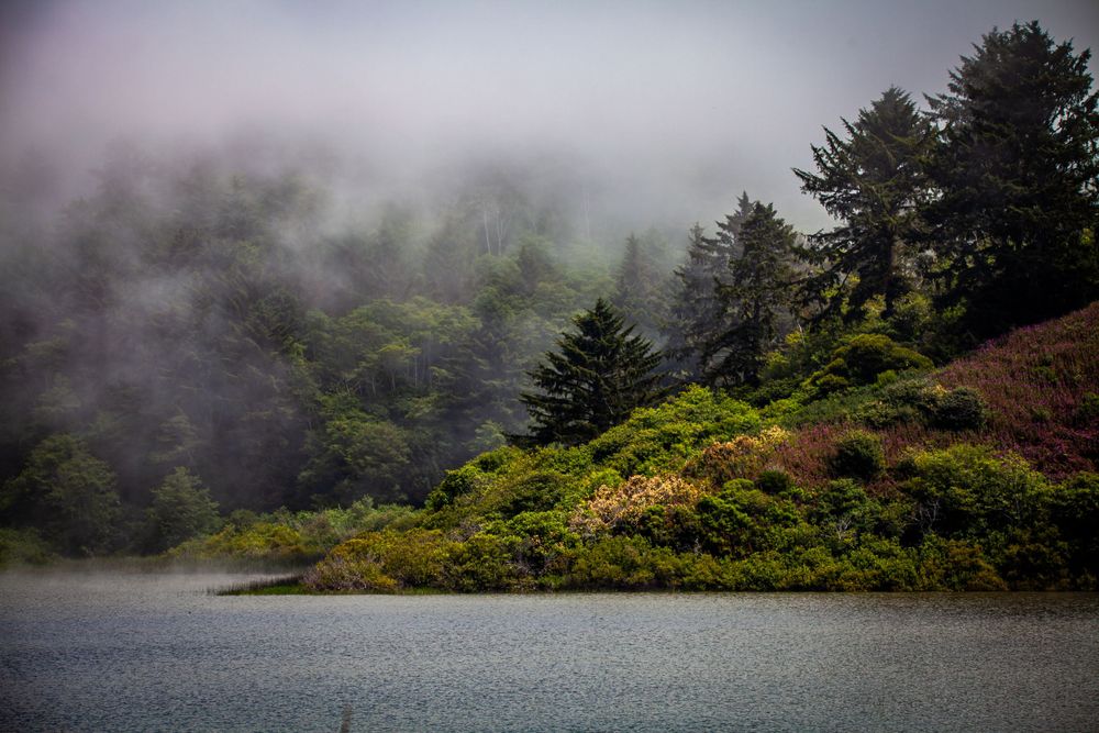 Misty lake surrounded by fog-covered forest hillside creates moody atmosphere.