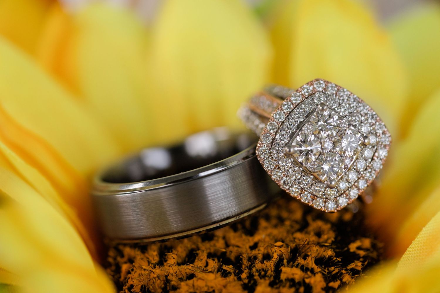 Wedding rings photographed on yellow sunflower petals with diamond engagement ring detail.