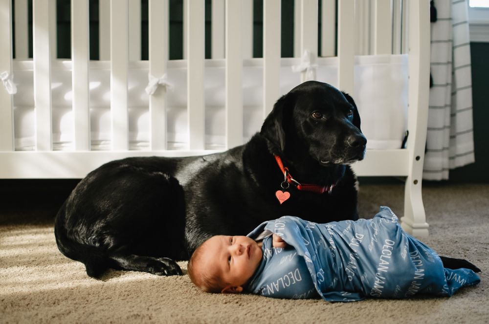 Worcester newborn photographer
