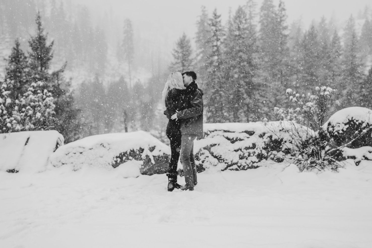 A winter engagement photoshoot in black and white with snow-covered pine trees.