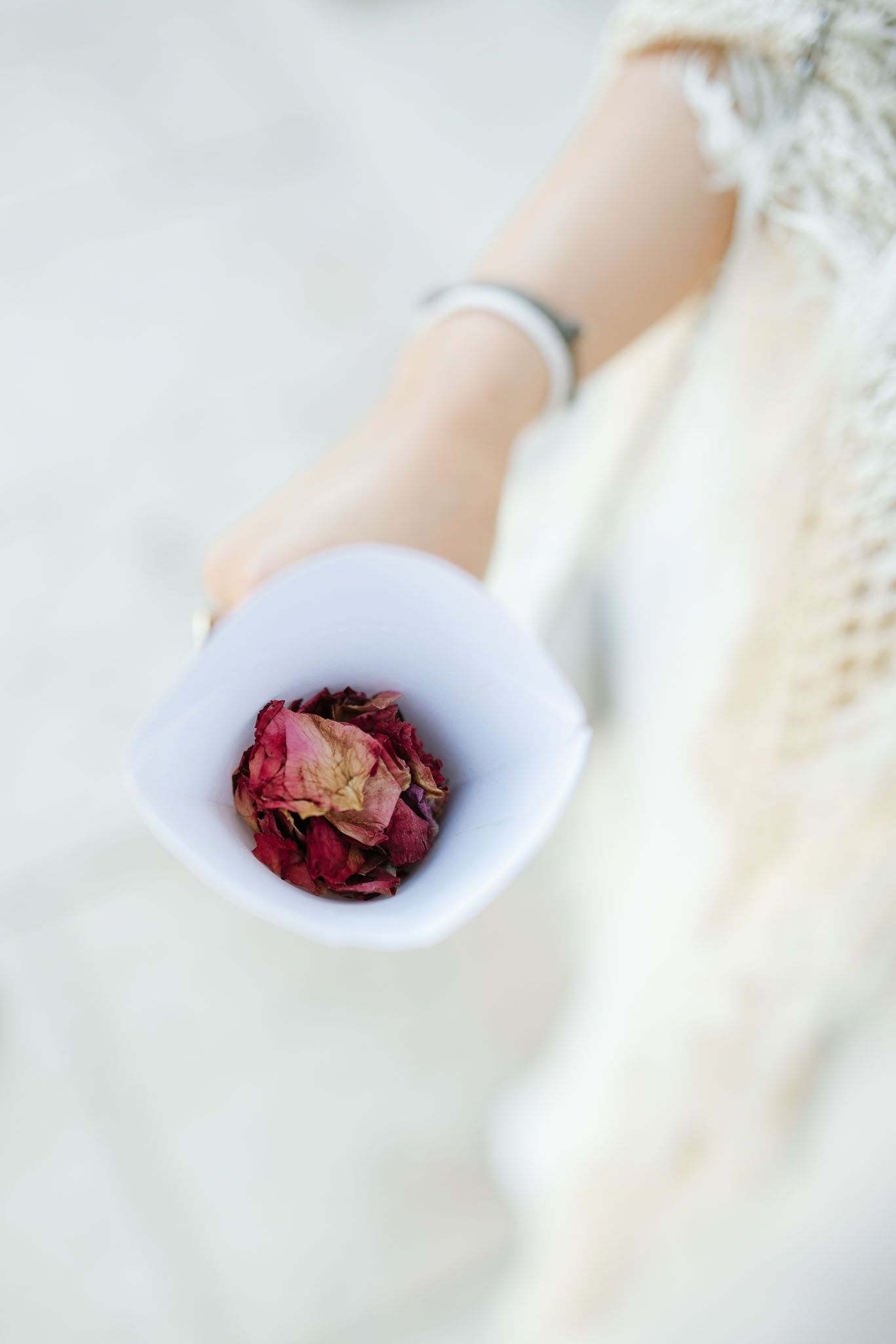 Dried red rose petals in a small white dish held against a light background.