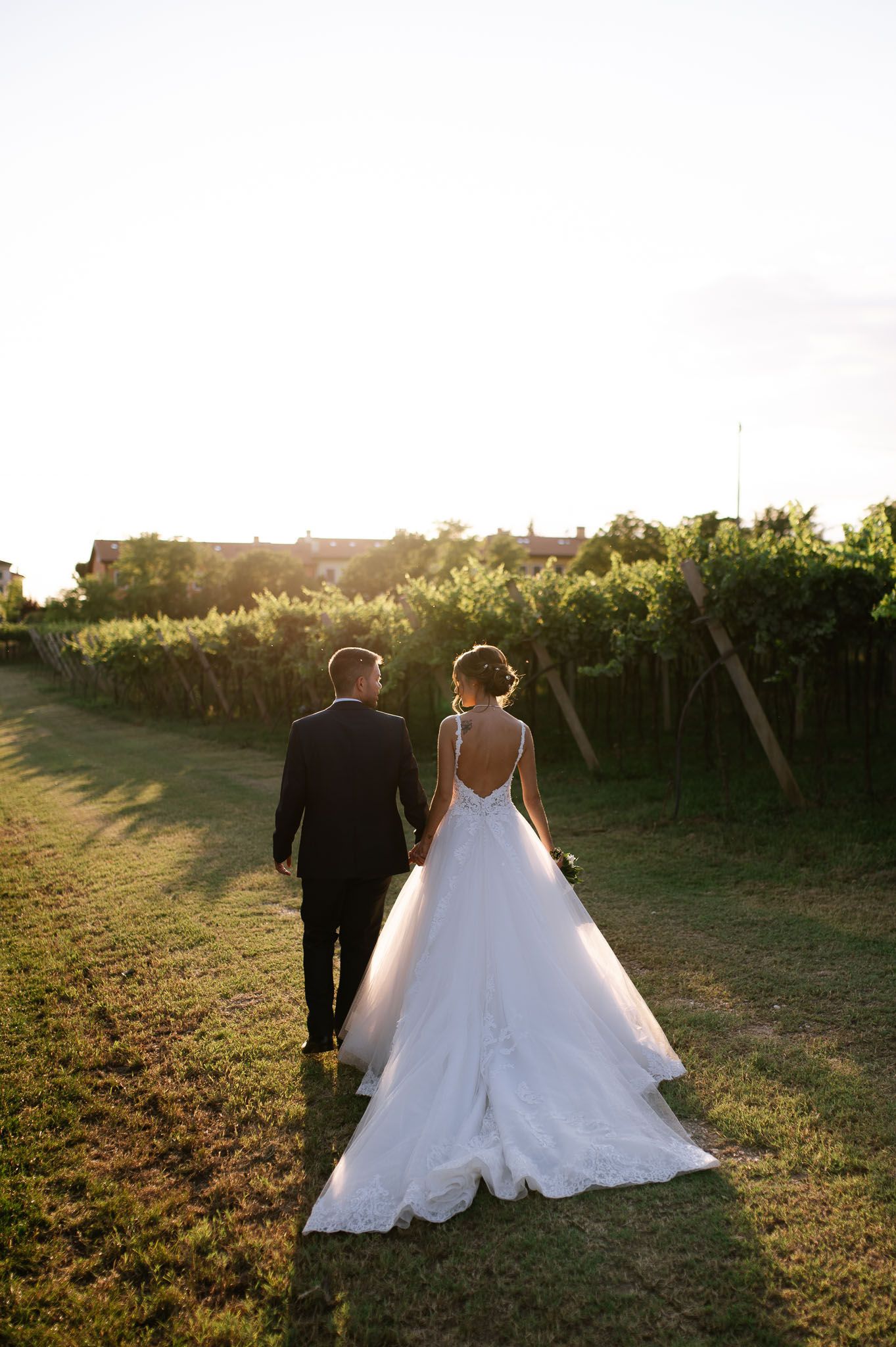 Couple walking through vineyard at sunset in wedding attire.