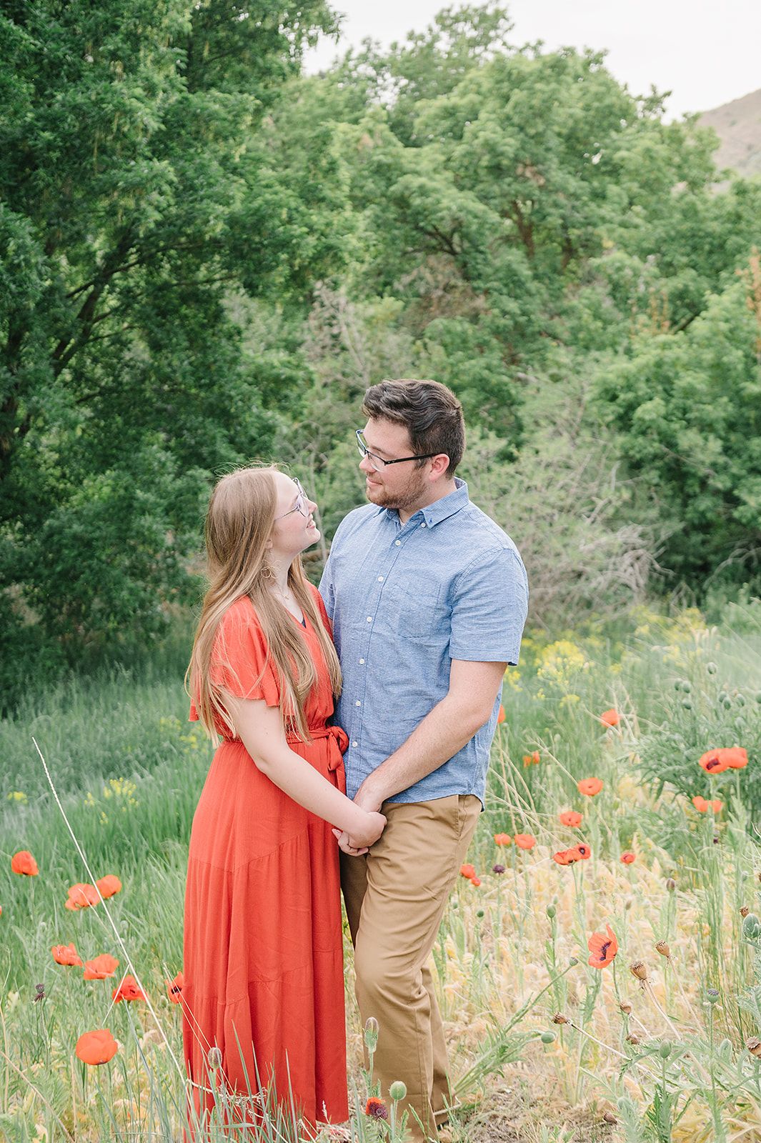 A romantic springtime portrait with orange poppies blooming in a green meadow.