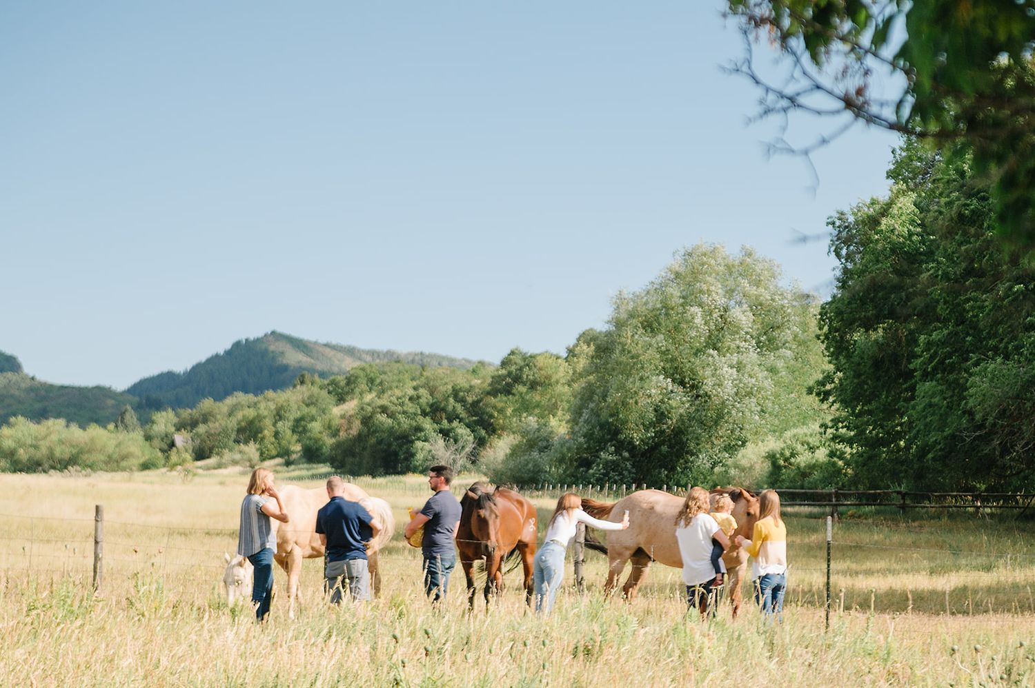 A line of horses and people in a sunny meadow with mountains in the background.