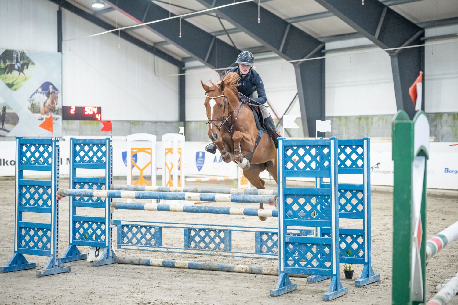 Horse and rider clearing blue and white jump obstacle during indoor competition.