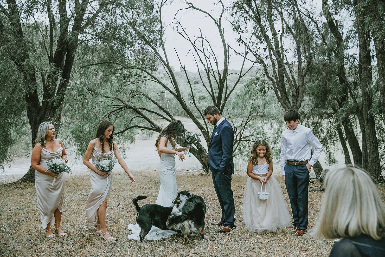 Krysta Guille Photography — photo 6 of 18
