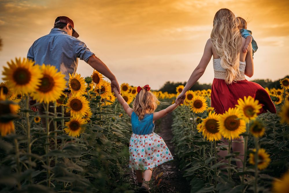 mom and dad holding hands with daughter in a sunflower field during sunset in Texas