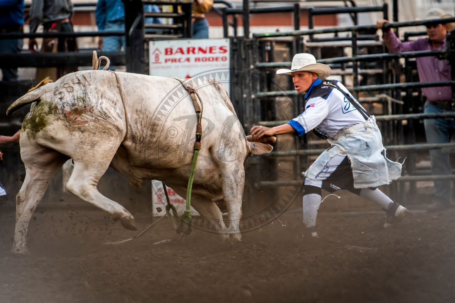rodeo