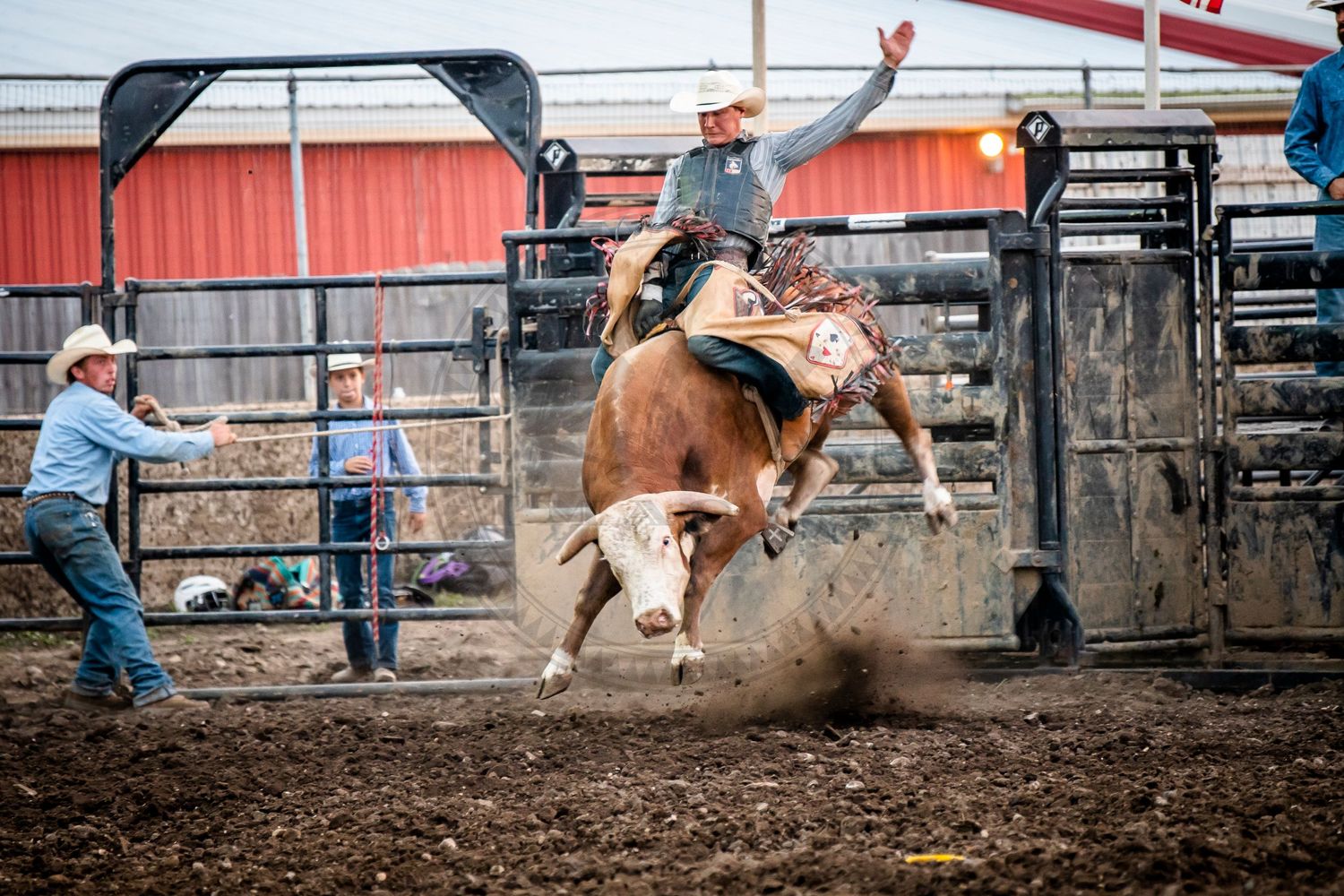 rodeo