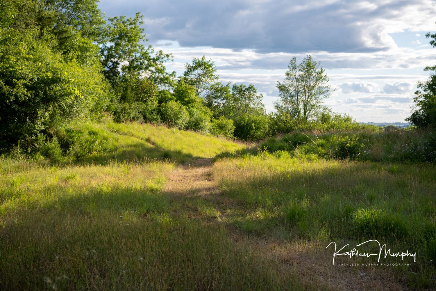Scenic hiking trail winding through green summer meadow under cloudy sky.