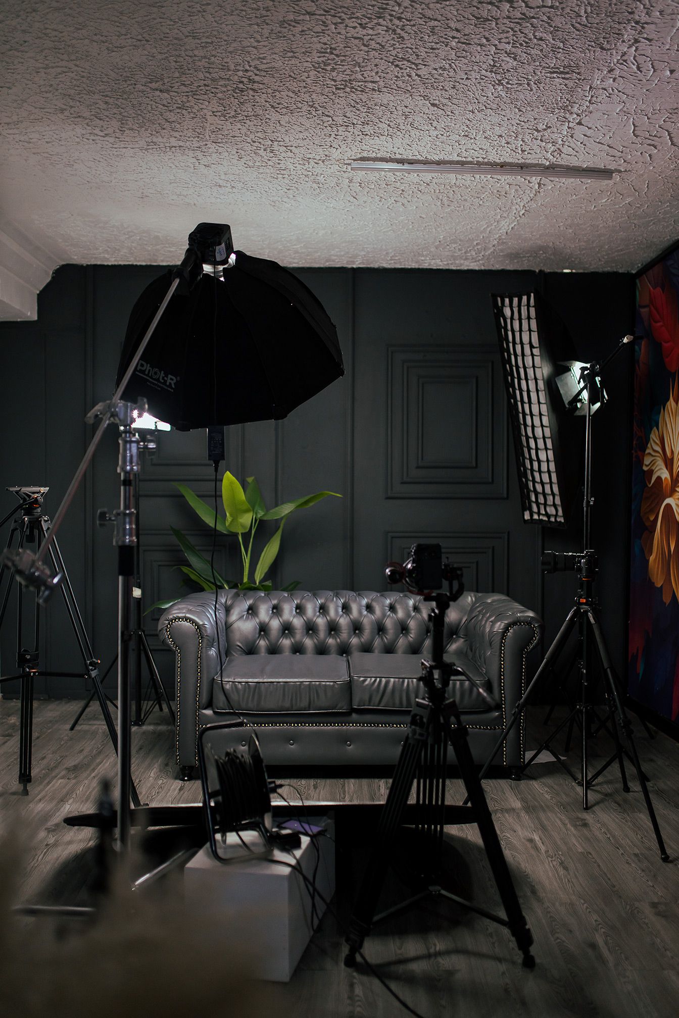 Professional photography studio setup with lighting equipment and gray tufted sofa.