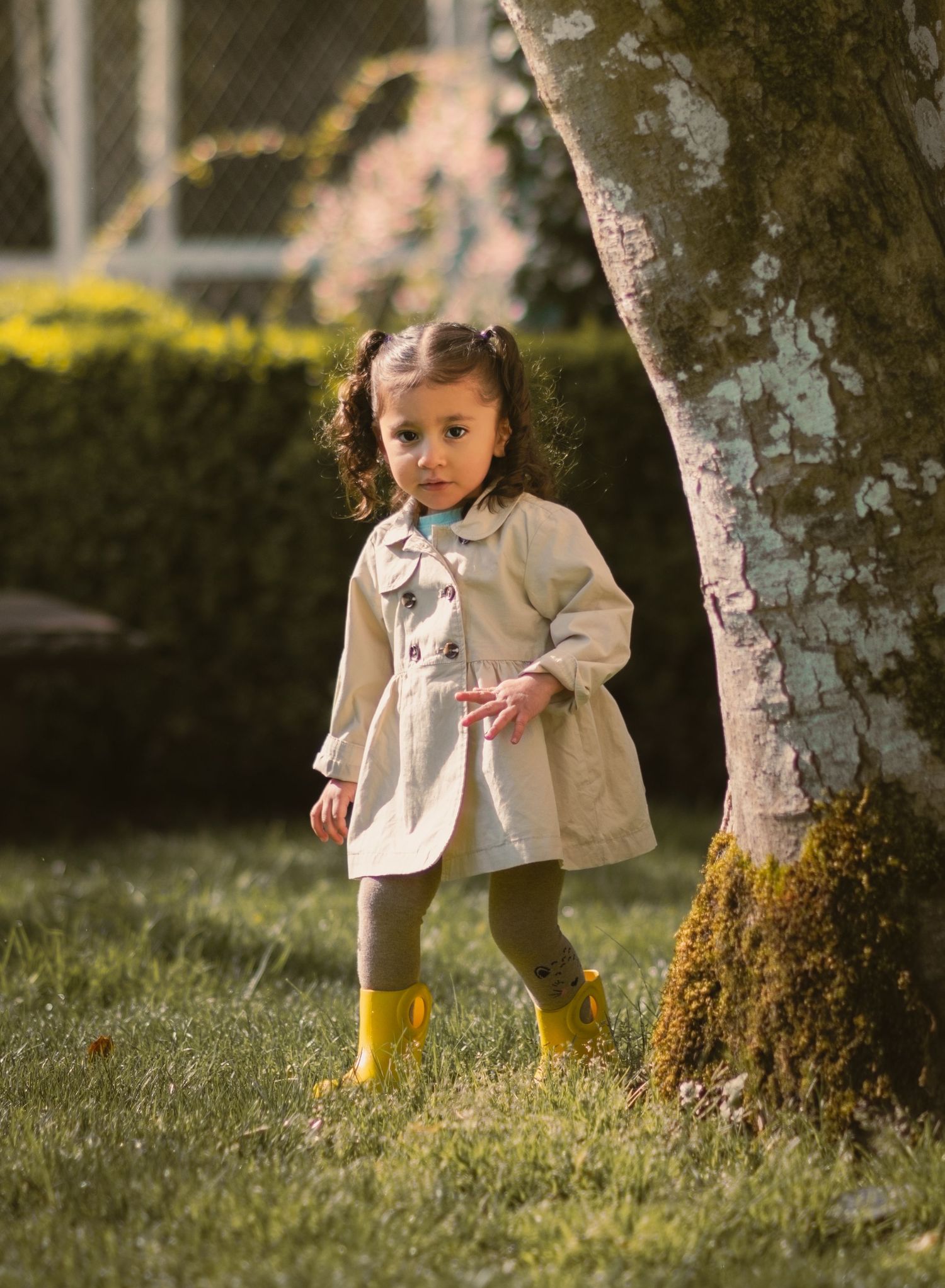 Young girl wearing peacoat and yellow rain boots looking at camera coming out from behind the tree.