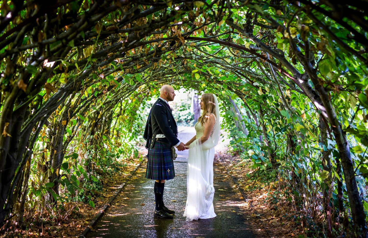Wedding photos taken under natural green archway of trees and vines.