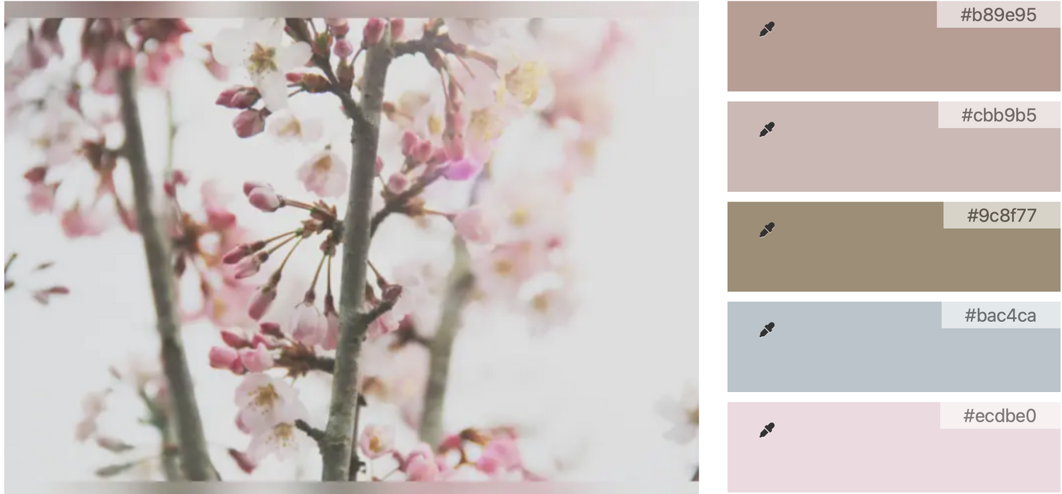 What to wear cherry blossom color palette
