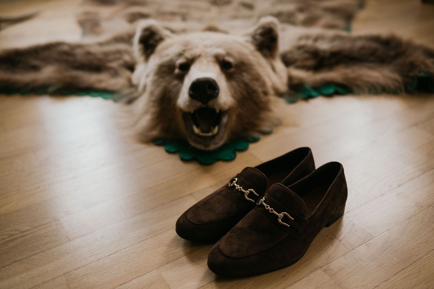 Brown leather loafers positioned in front of a decorative bear rug or mount.