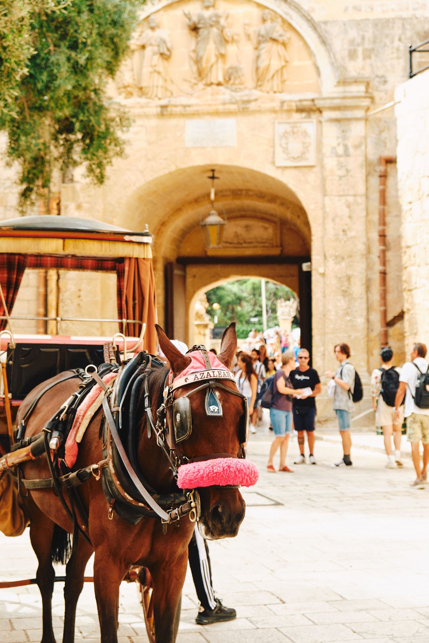 Horse-drawn carriage waiting by a historic archway entrance with tourists in the background.
