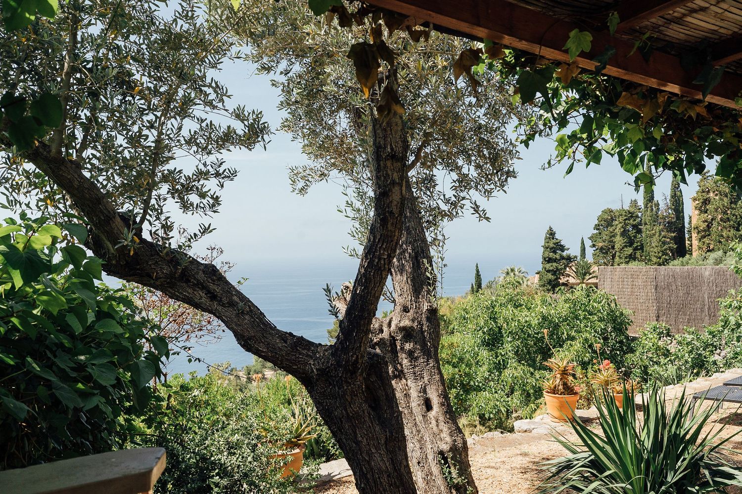 Mediterranean wedding in Mallorca, destination wedding photographer, views