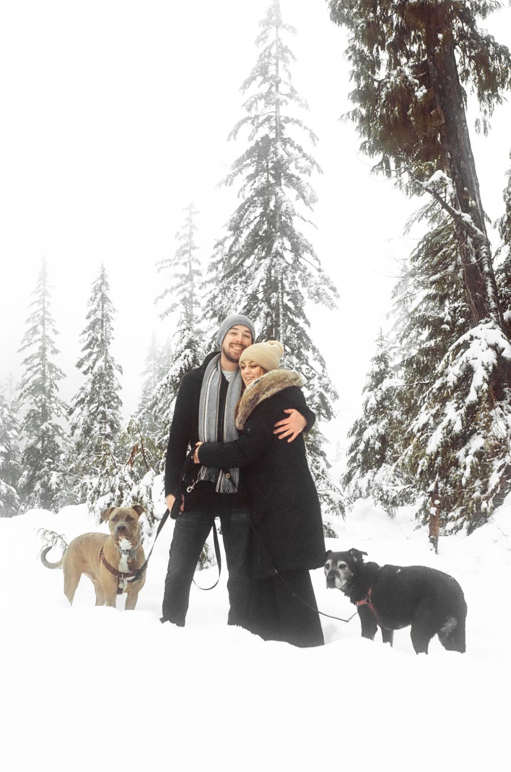 A winter engagement scene in a snow-covered forest with a dog watching nearby.