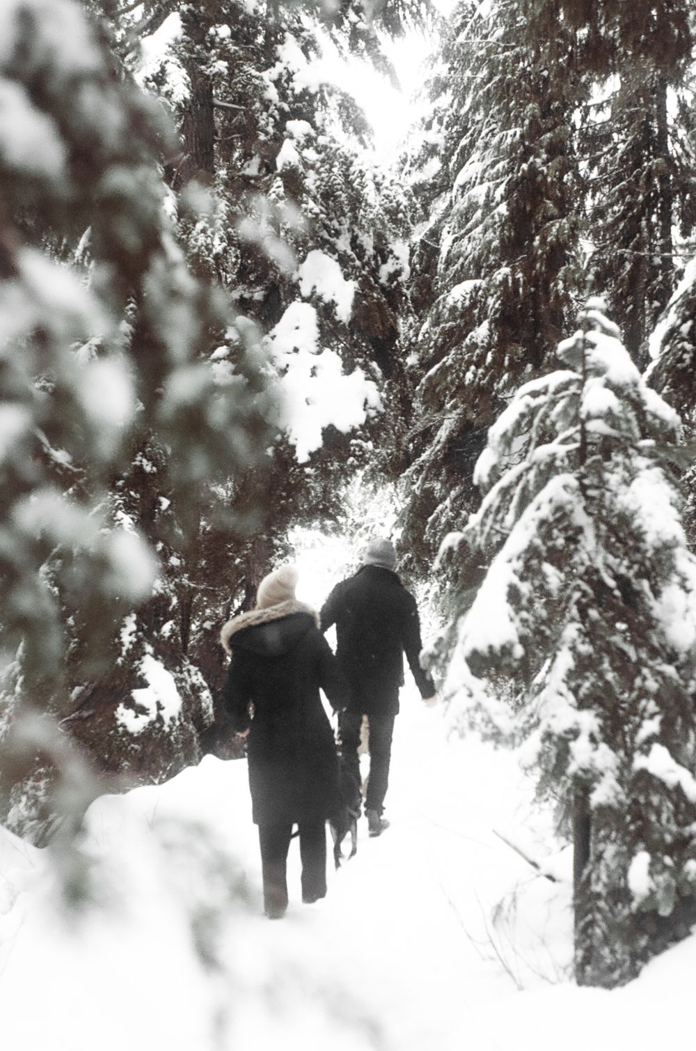 Two figures walking through a snowy forest with snow-covered evergreen trees.