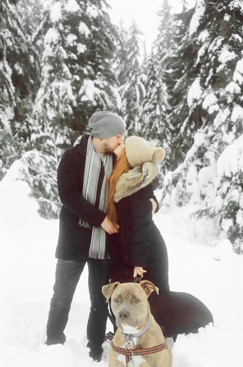A winter scene showing people bundled up in winter gear with their dog in a snowy forest.