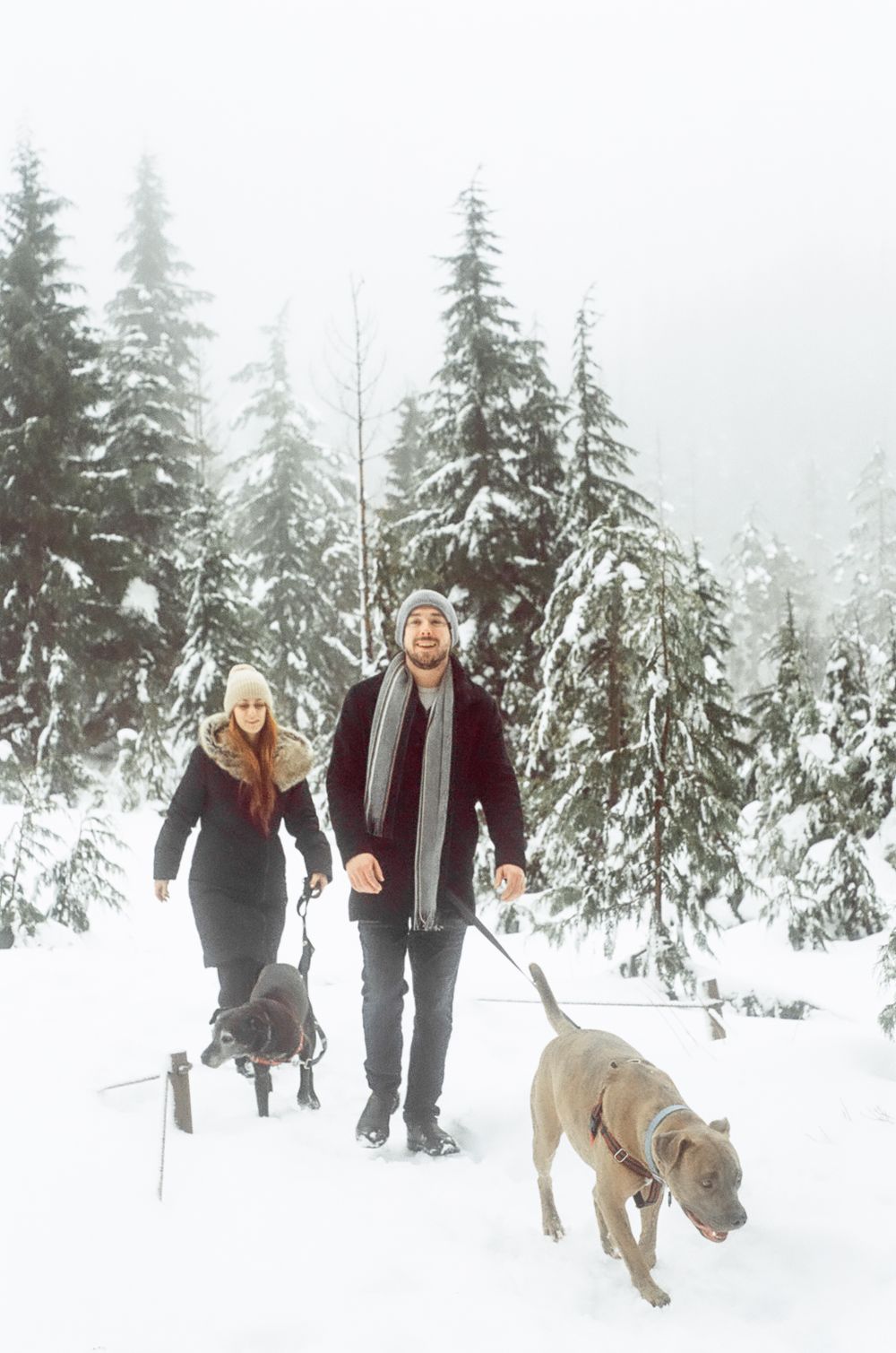 A couple and their dog enjoy a playful moment in a wintry forest landscape.