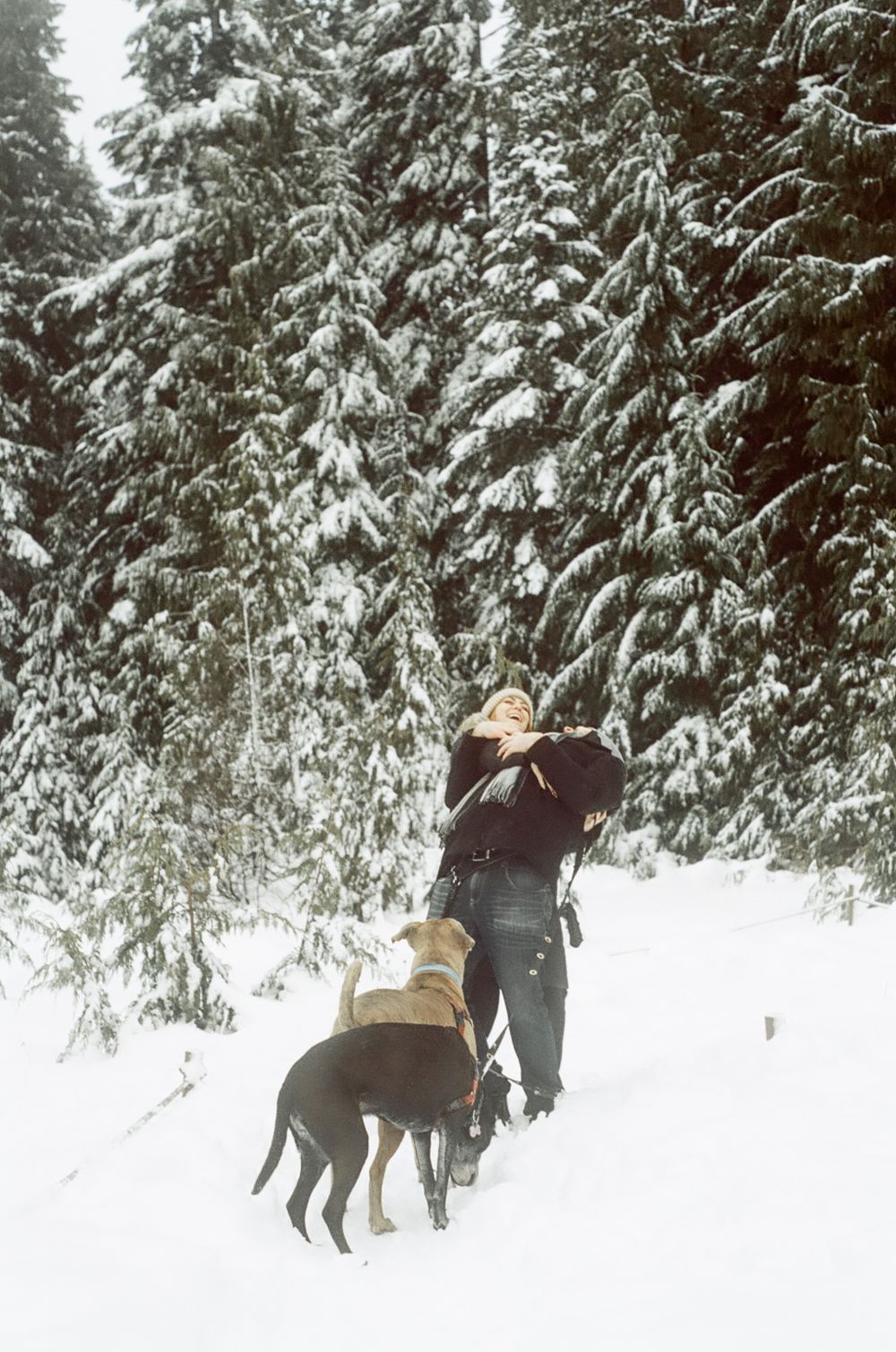 A dog runs through deep snow alongside two people in a winter forest setting.