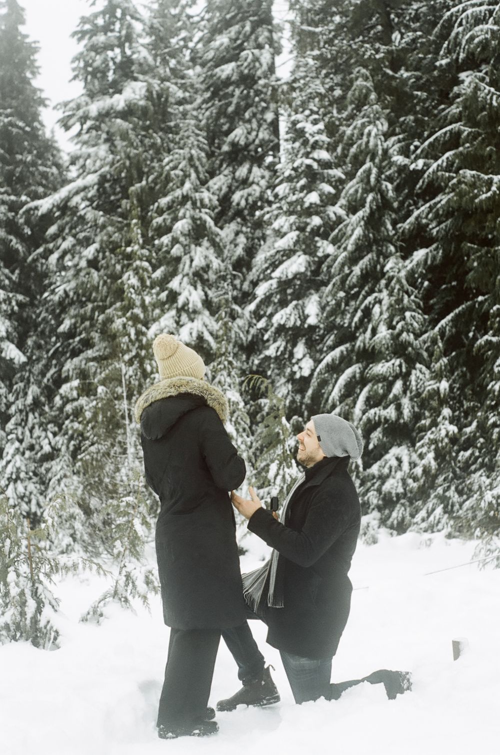 A romantic moment unfolds between two people in black coats surrounded by snow-covered evergreens.