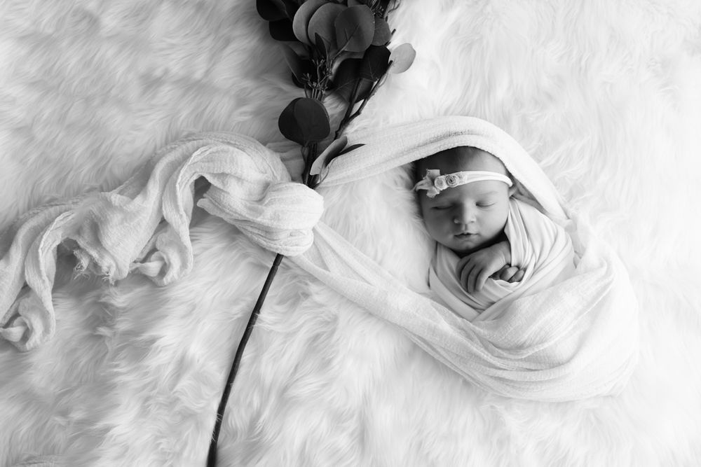 Black and white image of newborn baby girl wrapped and tied to floral limb.