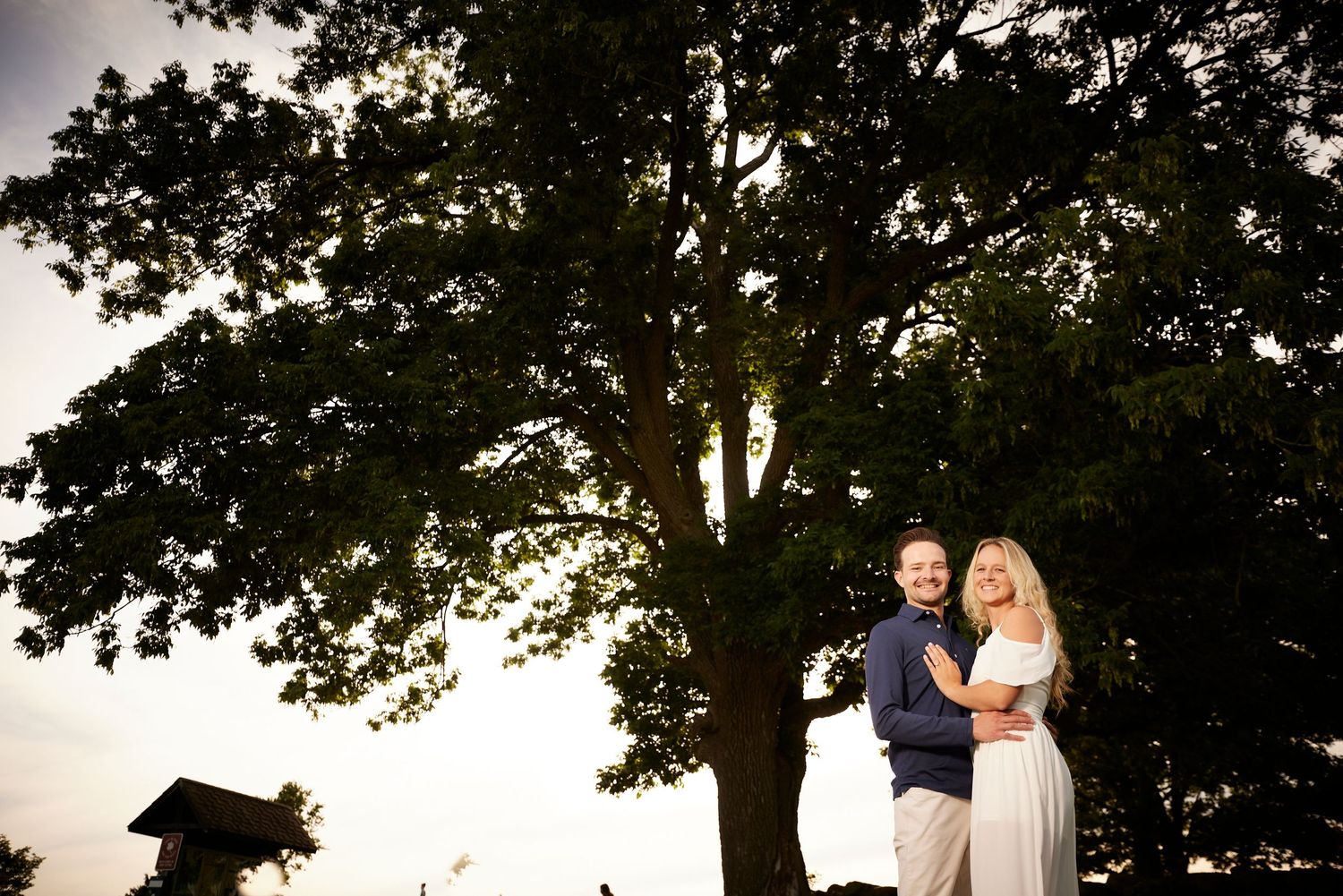 Engaged couple embracing under a large tree at sunset during an outdoor engagement photography session.