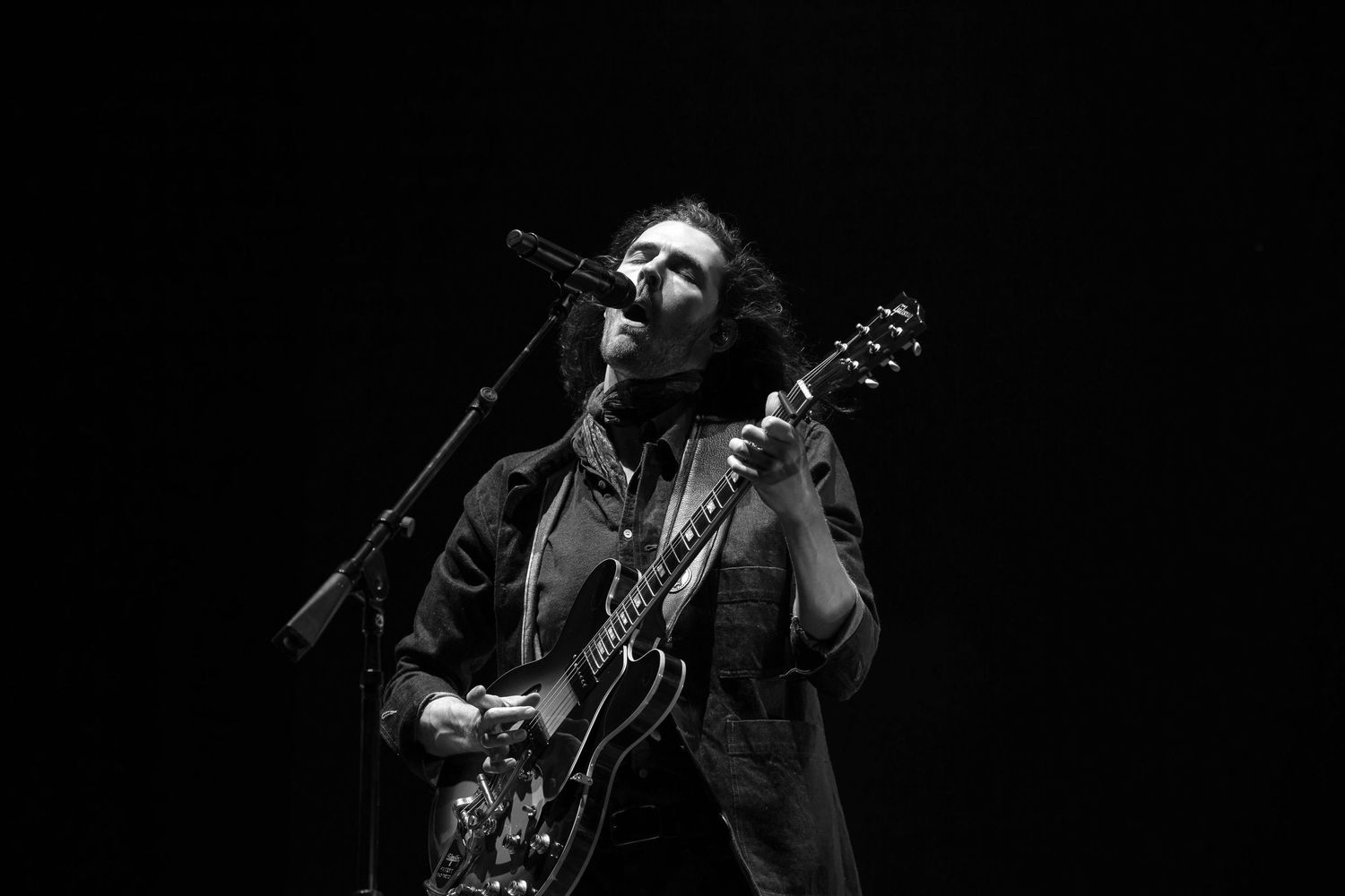 Hozier live at electric picnic