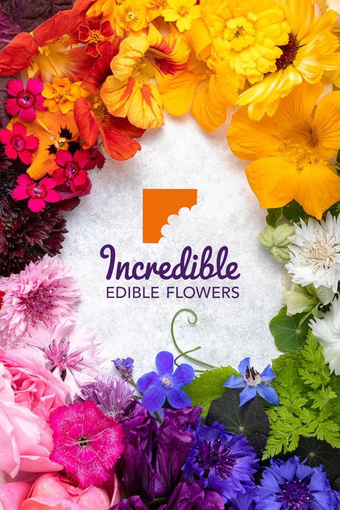 Project With Incredible Edible Flowers - Photo by © Reka Csulak