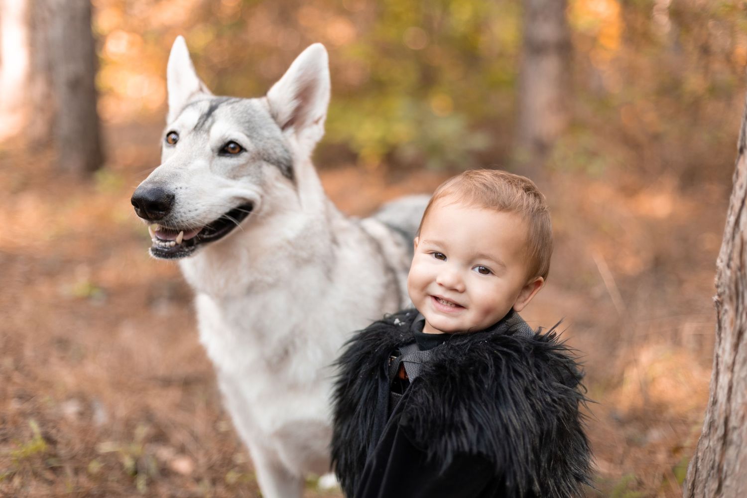 Game of Thrones Halloween, Lowell, Michigan