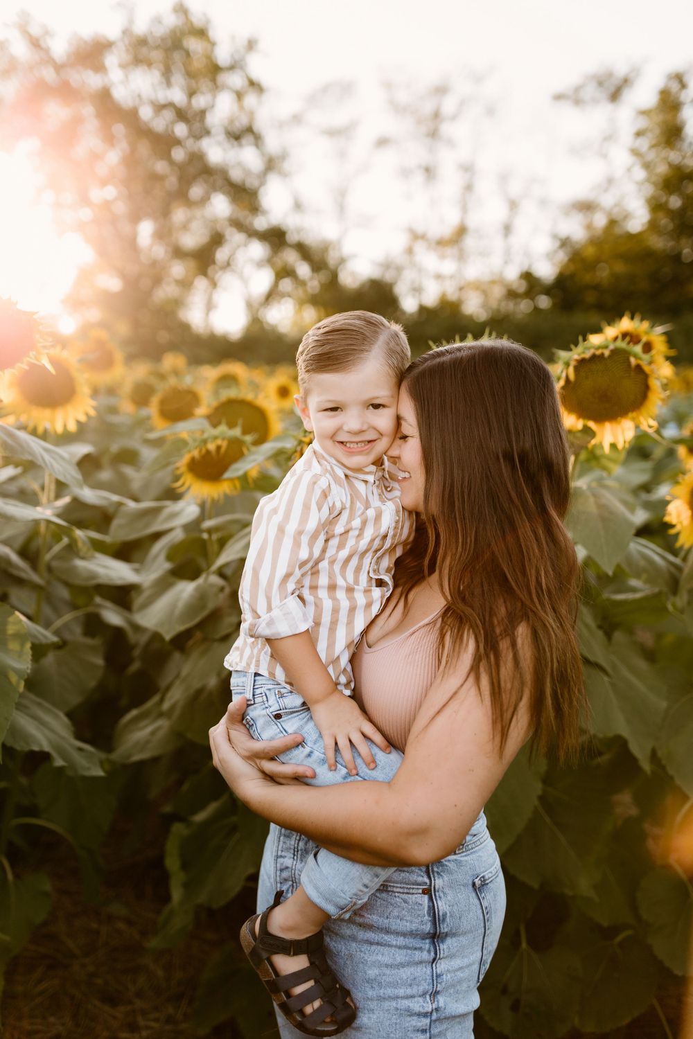 sunflowers kansas city
