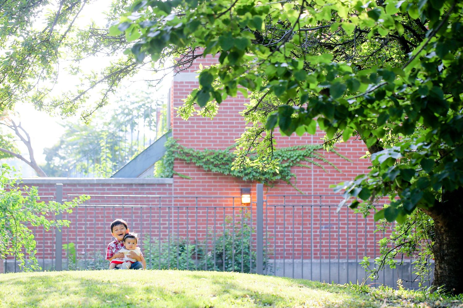 Sunlight filters through leafy trees in a park with brick buildings in background.