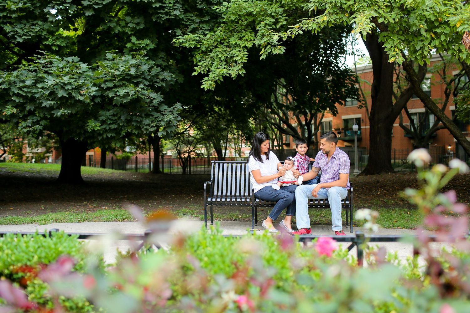 Lush green trees and flowering plants frame a peaceful park pathway.