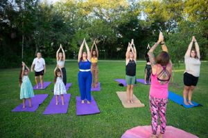 Group yoga class with participants stretching arms upward on colorful mats in grassy park.