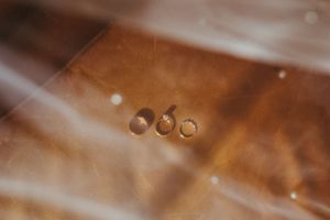 Three wedding rings arranged on a wooden surface with natural lighting.