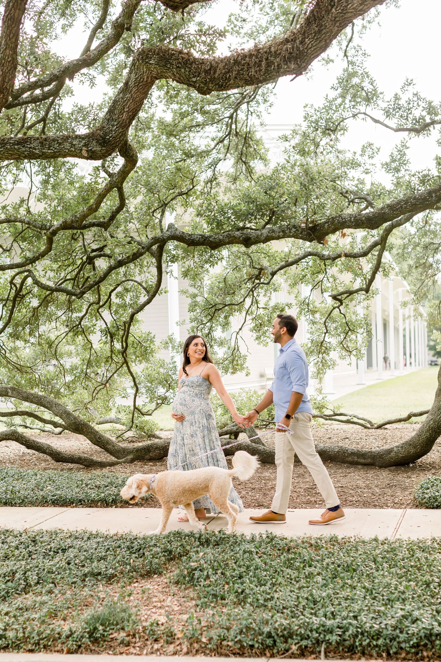 Family maternity photo with dog walking beneath massive oak tree branches.