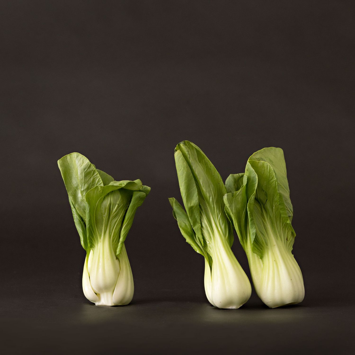 Three fresh bok choy vegetables standing upright against dark background.