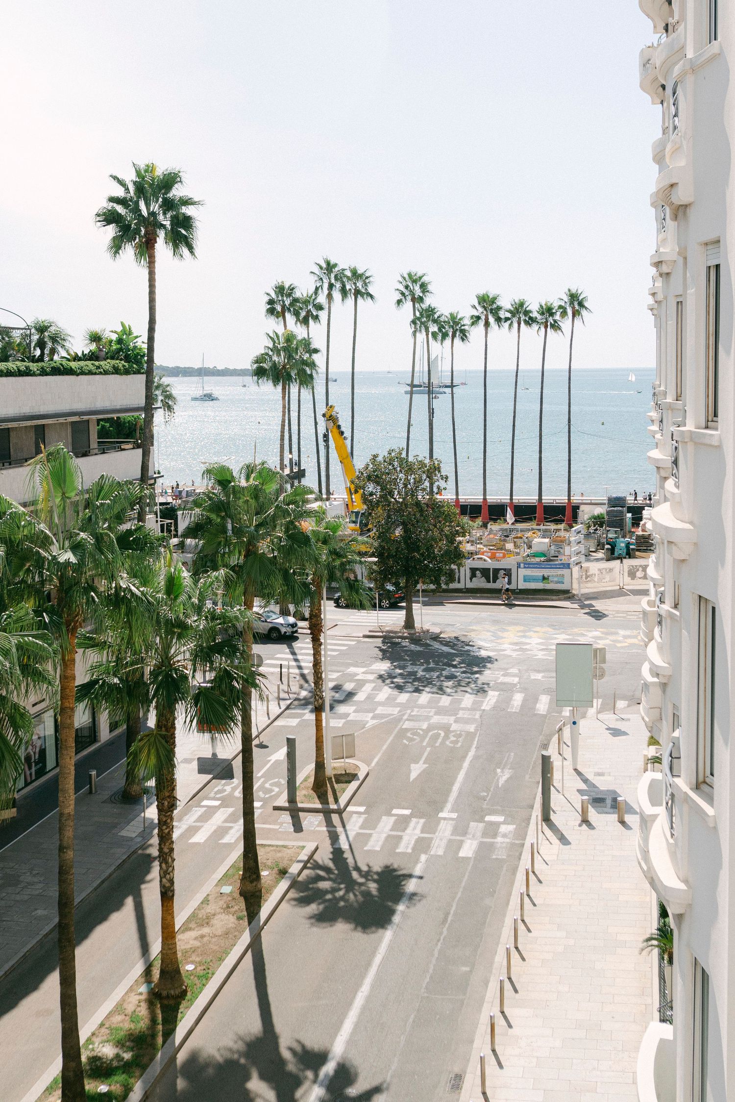 Palm tree lined coastal street with ocean view in sunny resort town.