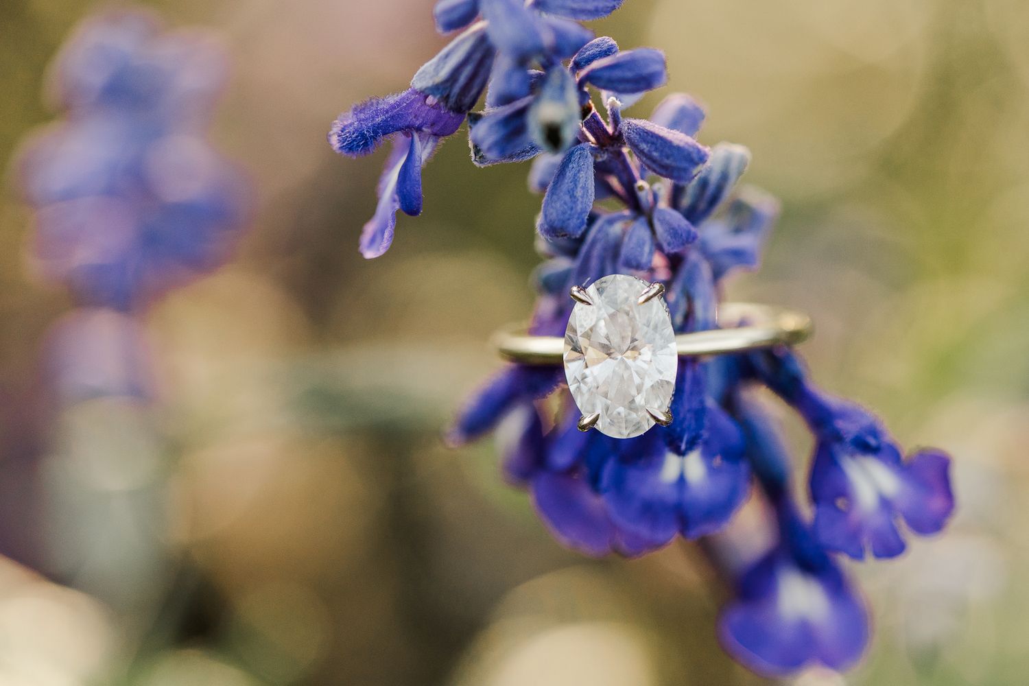MEADOWLARK GARDENS ENGAGEMENT PICTURES