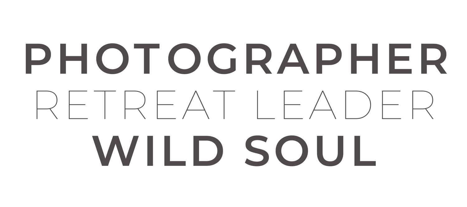 Minimalist text graphic reading Photographer Retreat Leader Wild Soul in elegant modern typography.