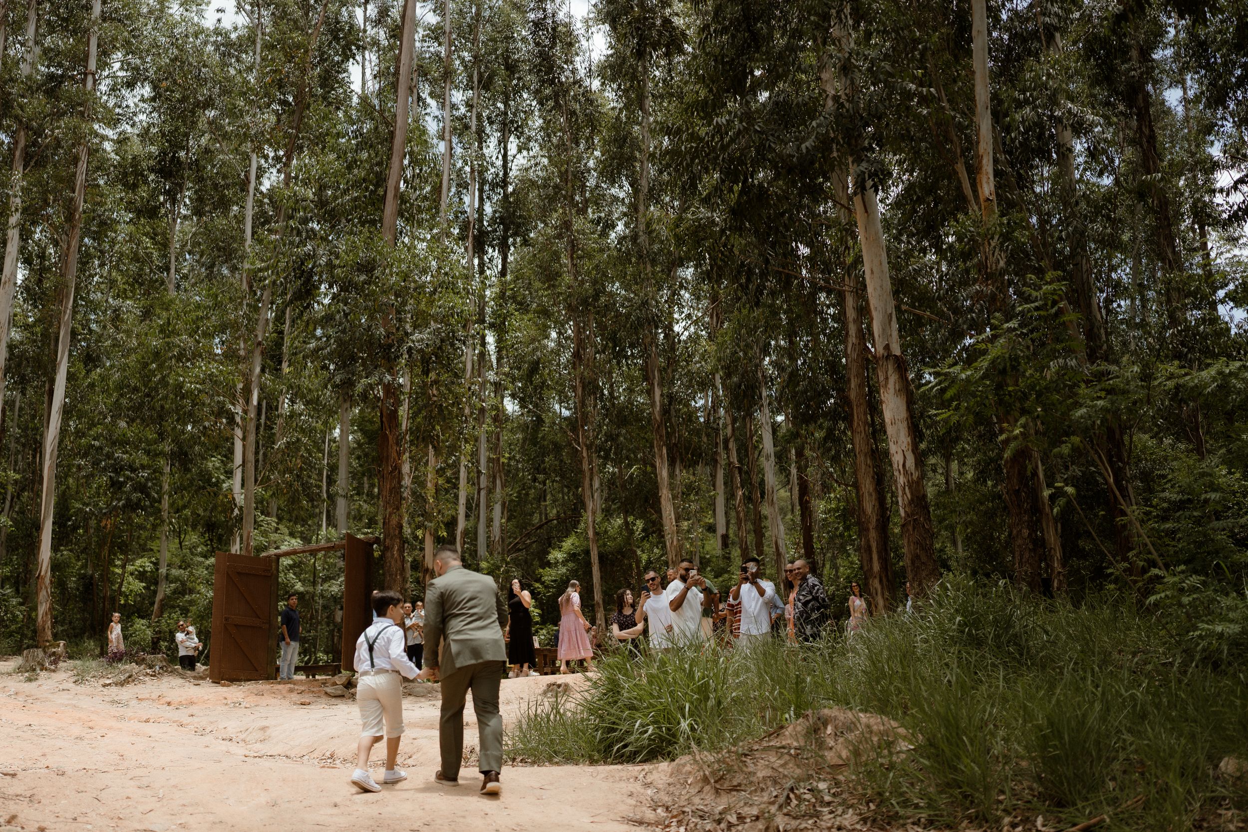 Small group gathers on a forest path surrounded by tall eucalyptus trees for an outdoor ceremony.
