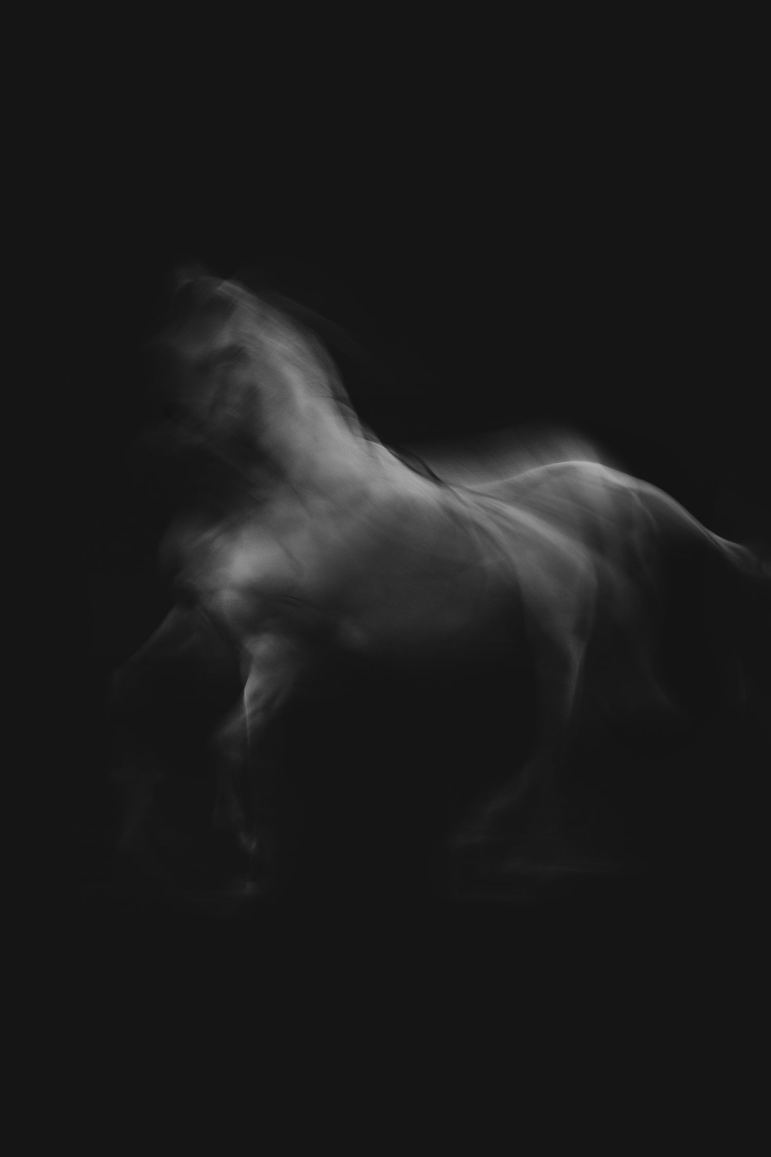 Artistic black and white photograph of a horse in motion with smoky effect.