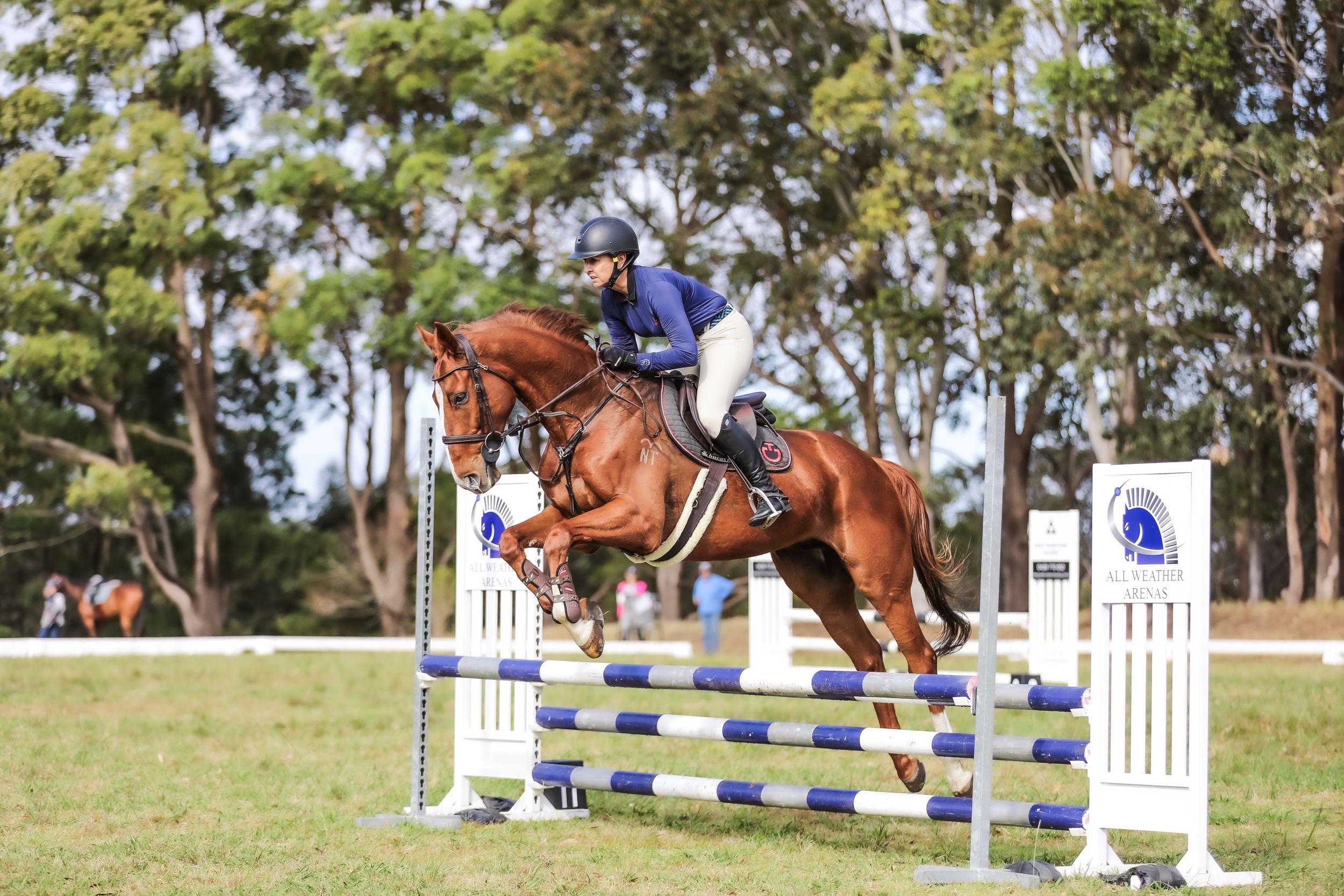 Equestrian photography.