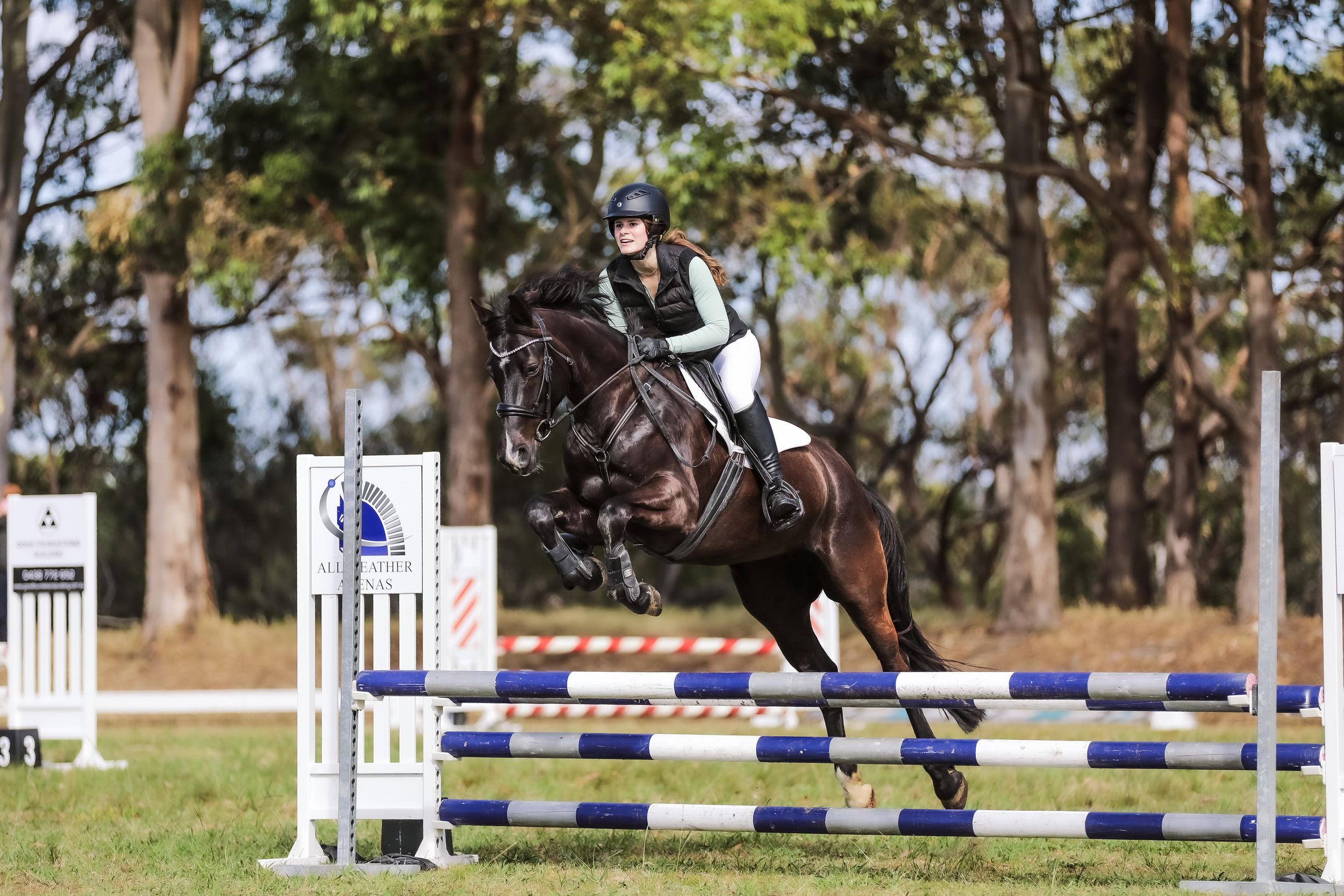 Equestrian photography.