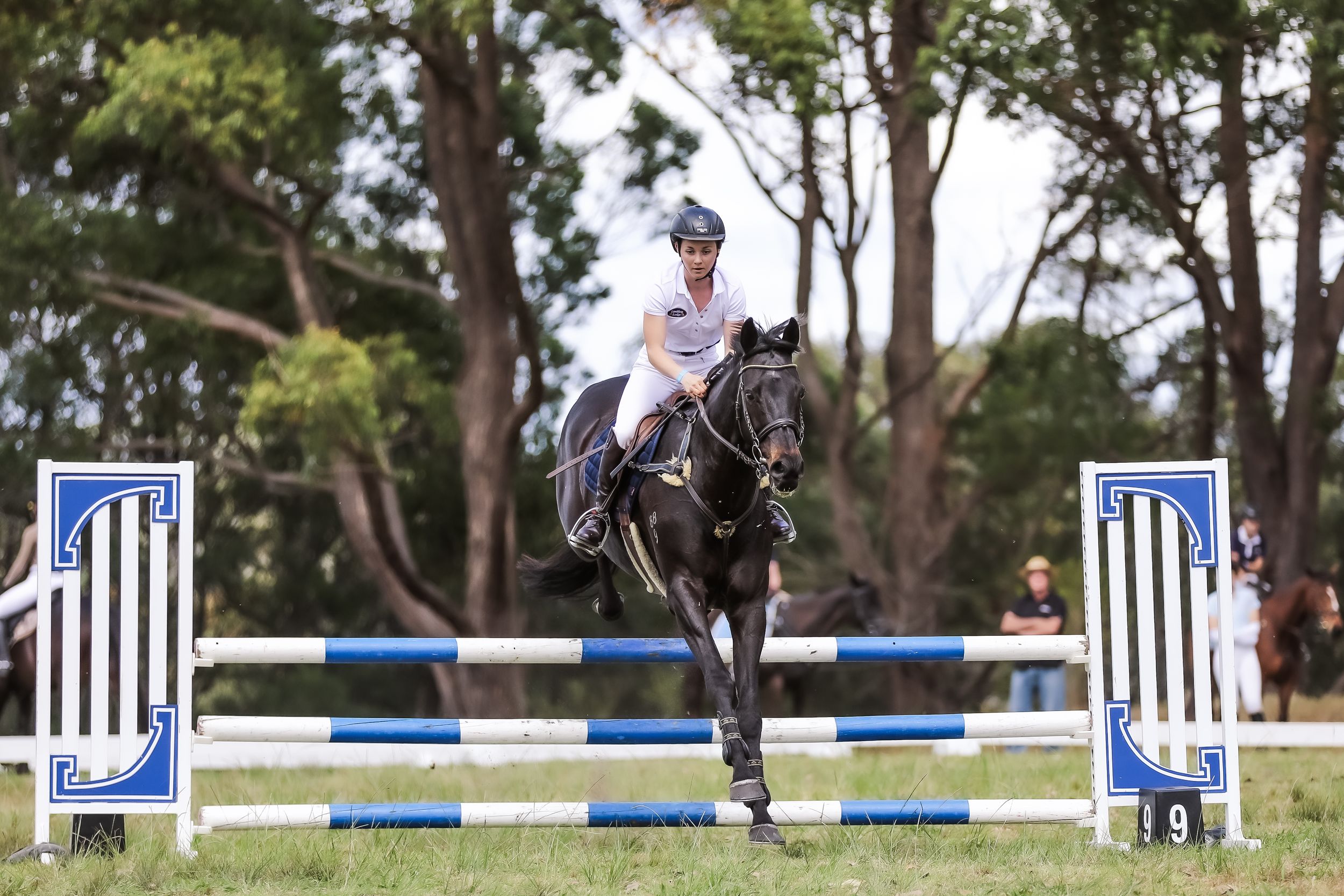 Equestrian photography.