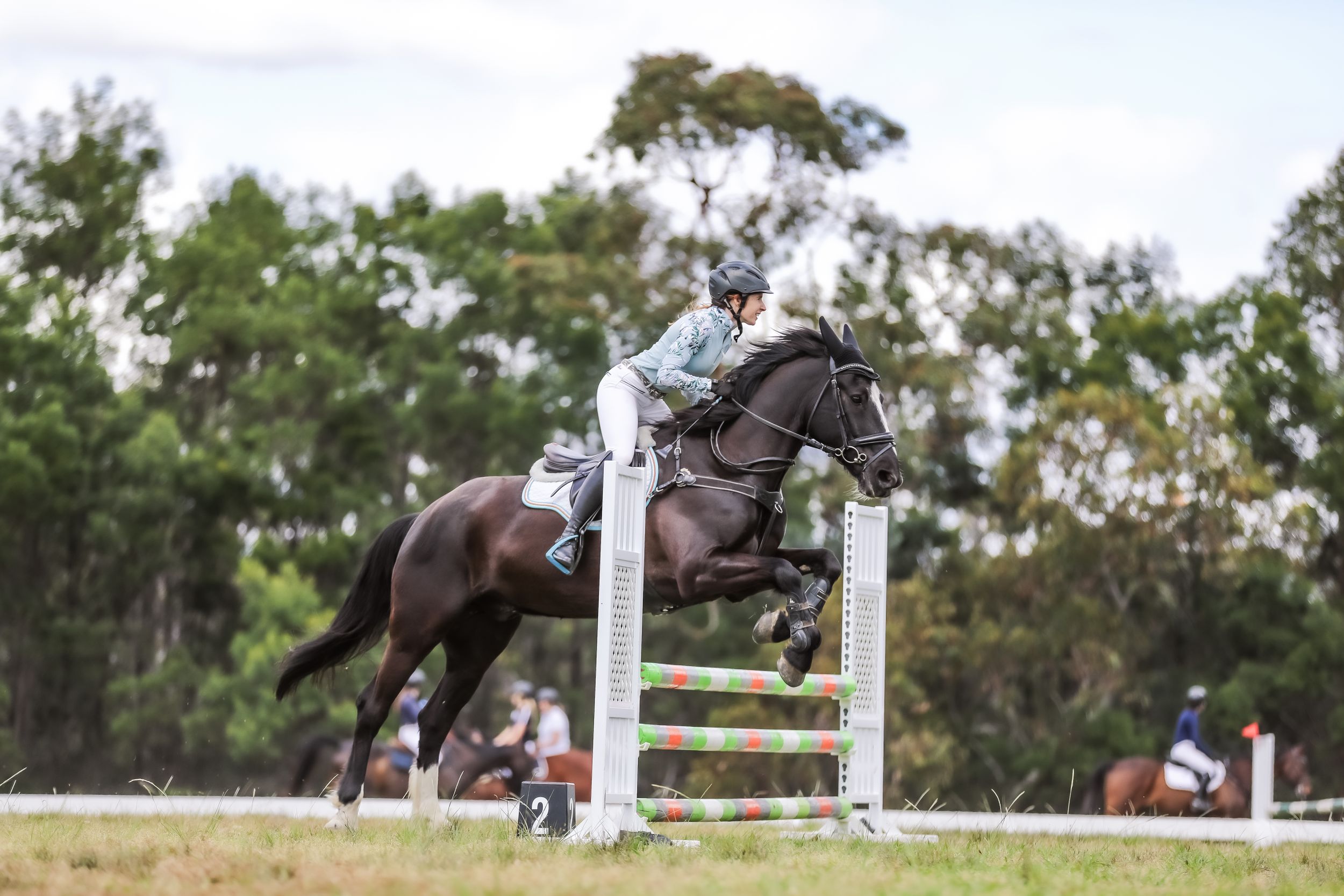 Equestrian photography.